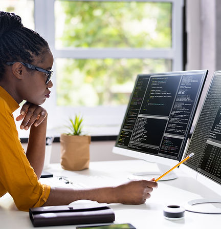 Software Programmer