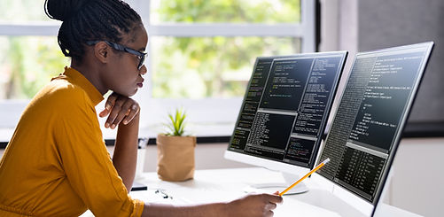 Software Programmer