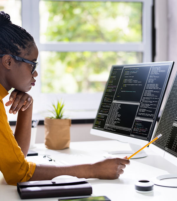 Software Programmer