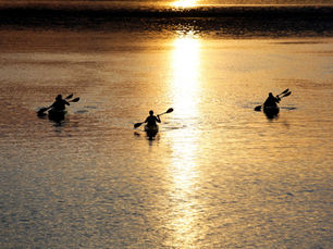 Three kayakers paddle in golden sunset-lit water, creating ripples. The warm hues and serene setting convey tranquility.