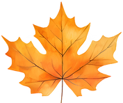 Autumn Maple Leaf