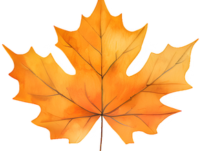 Affordable Autumn Activities for Families: Step-by-Step Guide