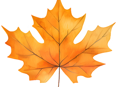 Orange Maple Leaf