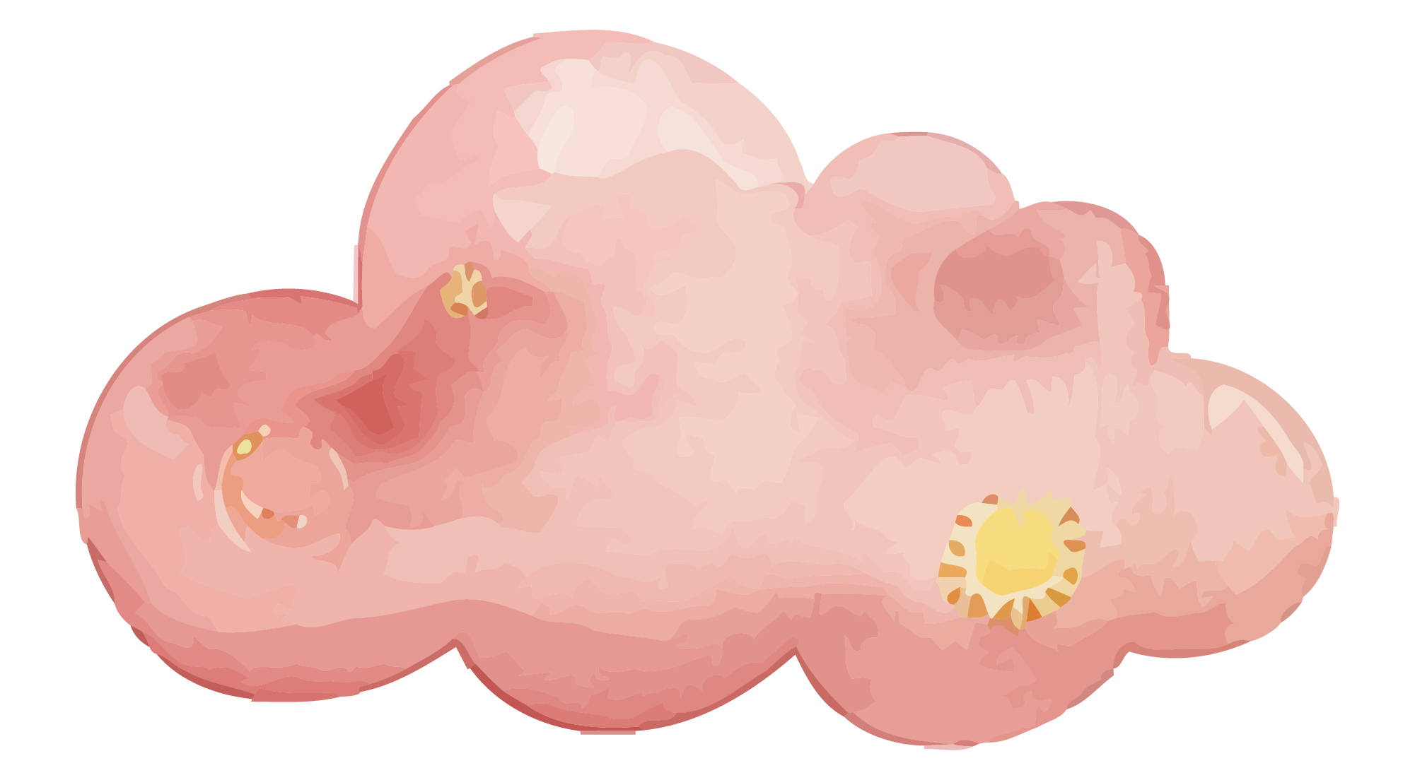 Pink Cloud Illustration