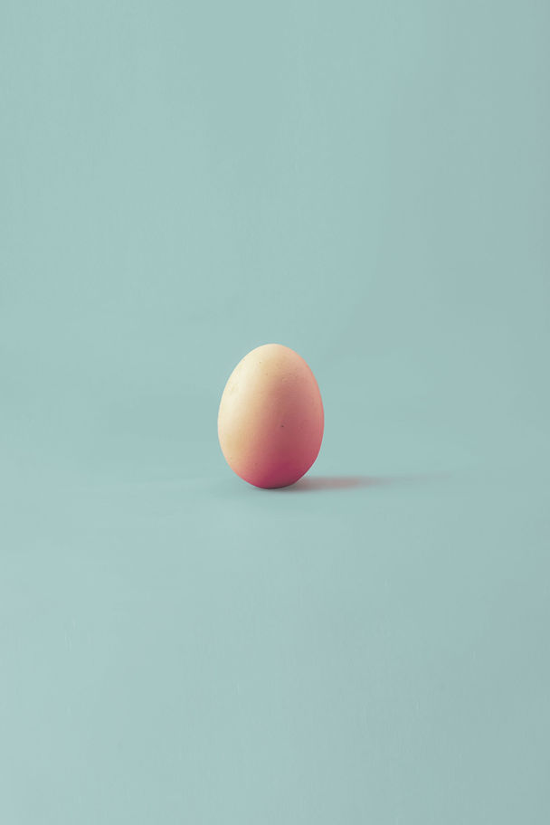 Single Egg Display