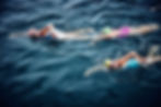 An Aerial View of Swimmers in the Sea