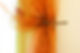 Beautiful translucent orange curtains in an apartment