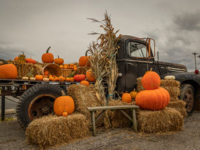 Family-Friendly Halloween Events in New Jersey 2025- The Noble Nanny