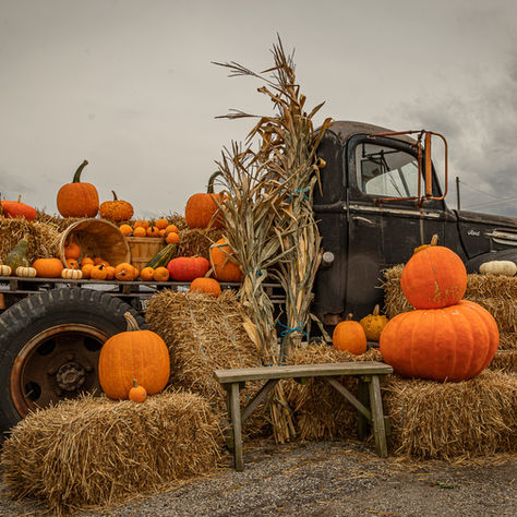 🎃 Treasure Valley Trunk or Treat & Halloween Events 2025