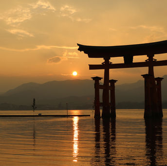 Trusting the Process:Spiritual Awakening 