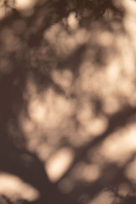 Blurred Tree Shadows