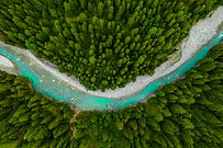 River surrounded by forest