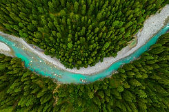 River surrounded by forest