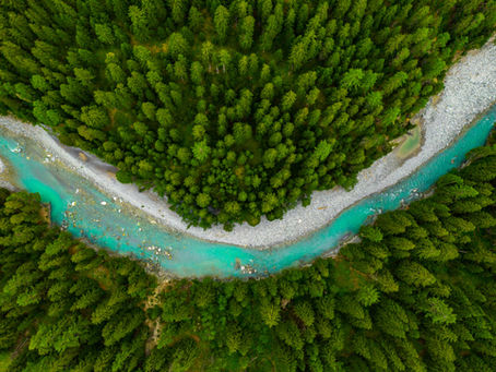 VIBE CHECK: For the week of Nov 10-14th