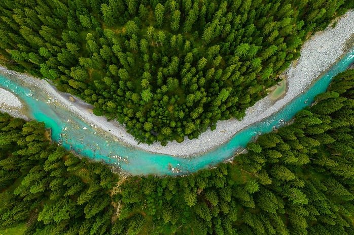 Rivière entourée de forêt