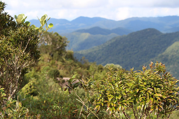 Vista das montanhas