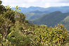 View from the Top