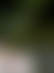 Retribution of a Leisurely World