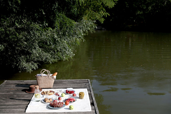 Picnic by Lake