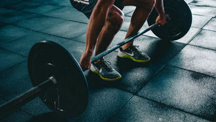 Push Pull Legs
