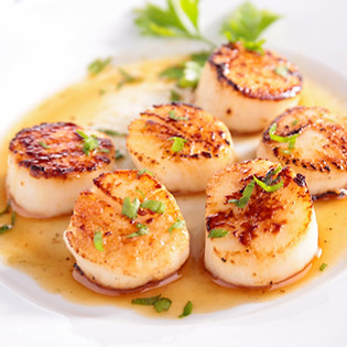 Seared Scallops Dish