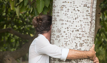 Person Hugging Tree