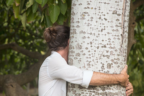 Hugger d'arbre