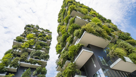 Sustainability on the Agenda for 2021