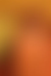 The Remarkable Discovery of the Missing Suitcase