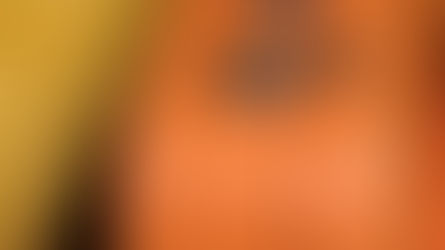 The Remarkable Discovery of the Missing Suitcase