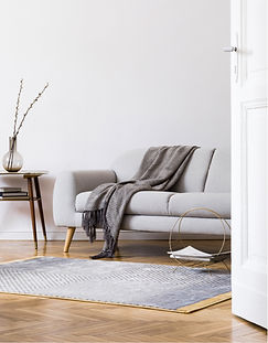 Modern Living Room
