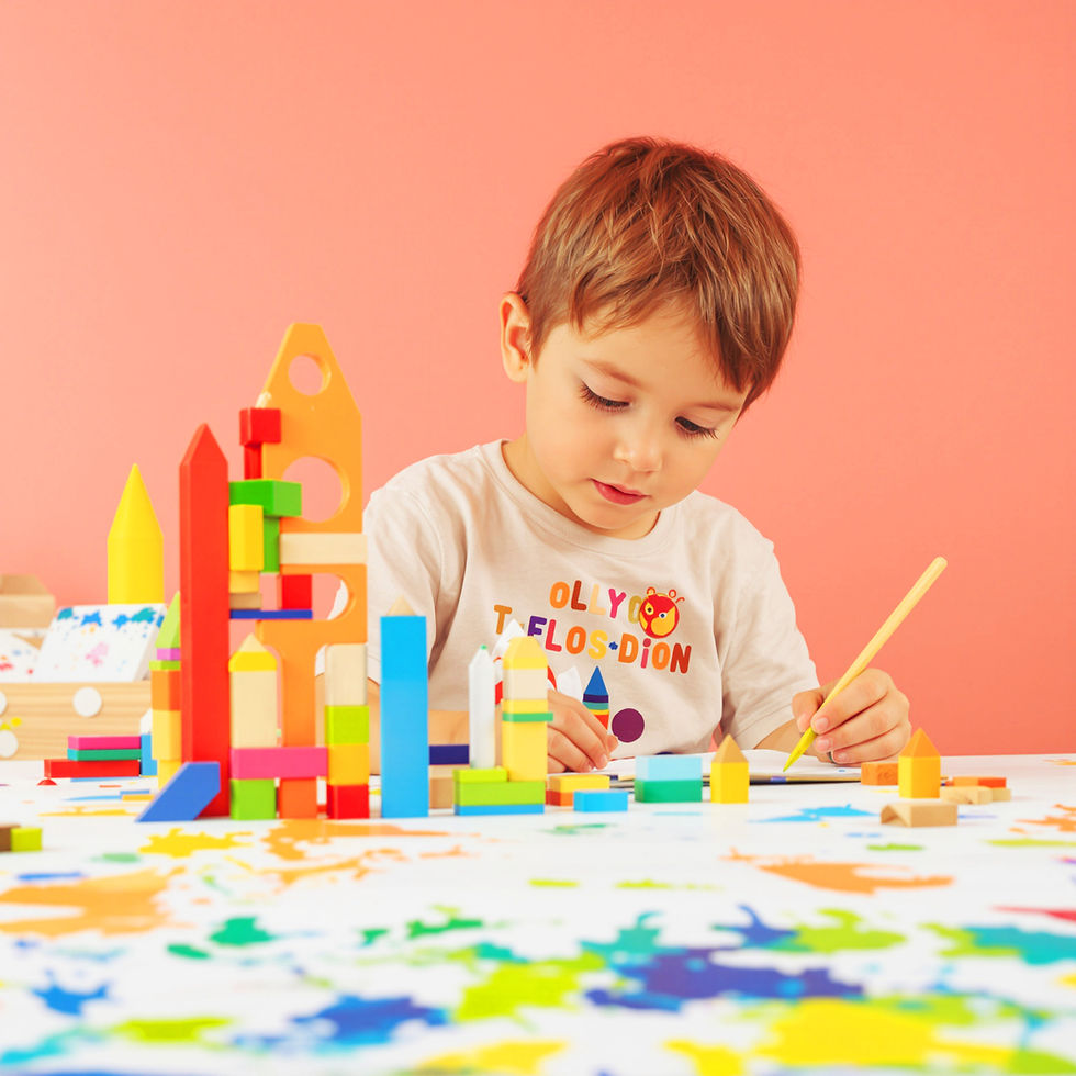 Child Playing Blocks