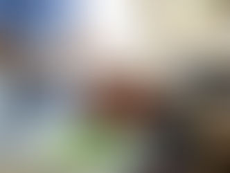 O Que Comer para Ajudar a Cicatrizar uma Tatuagem? Dicas Nutricionais para uma Recuperação Saudável