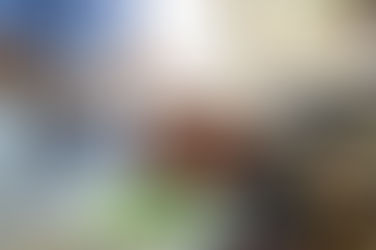 Trilhas da Gastronomia abre vagas