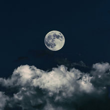 Southern California Moon Garden