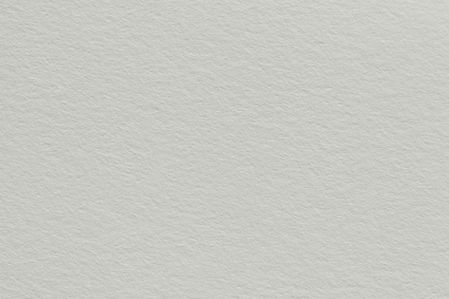 White Paper Texture