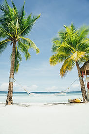 Tropical Beach