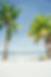 Tropical Beach