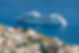 Cruise Ship Afloat