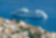Cruise Ship in Bay