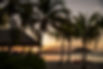 Tropical Beach Sunset
