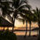 Thumbnail: Cairns to Tully transfer - gss transportation