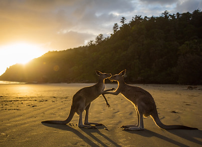 Australia