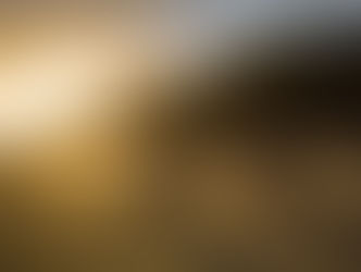 Blog: