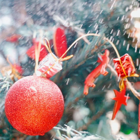 Comment choisir son sapin de Noël ?