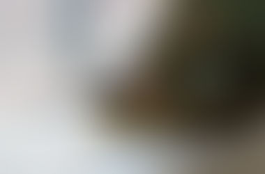 Parlamentarische Initiative: Weg für Informationsbrief zu zivilem und militärischem Engagement für 17-Jährige geebnet