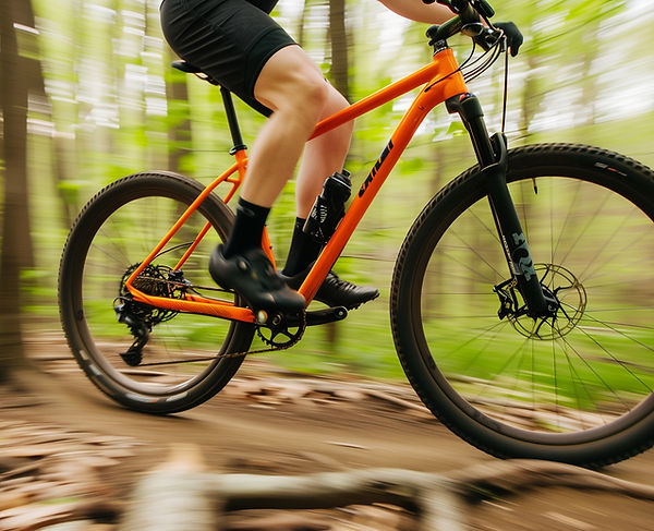 Bicicleta de montaña