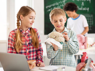 What Is Brain Mapping in the Neurosequential Model of Therapeutics?