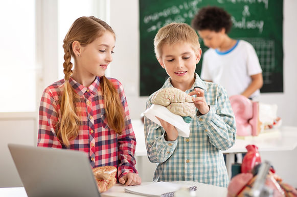 Des enfants qui étudient l'anatomie