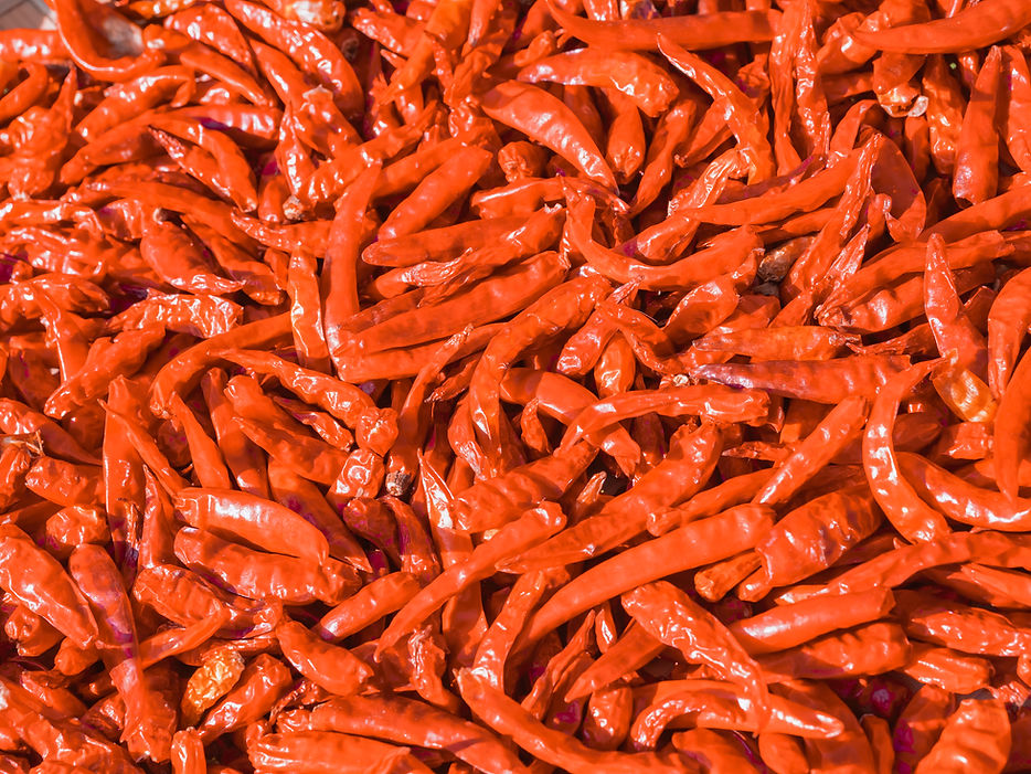 Dried Red Chilies
